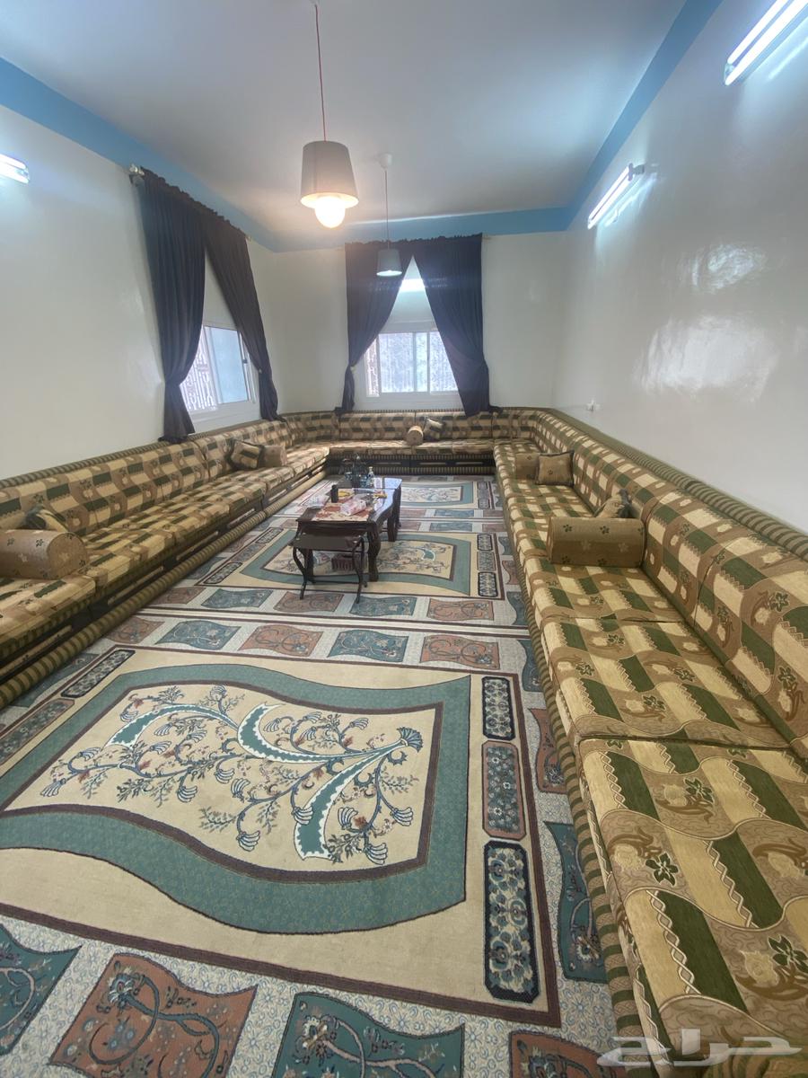 كنب مجلس بحالة ممتازة ( شبه جديد )64395629654659111