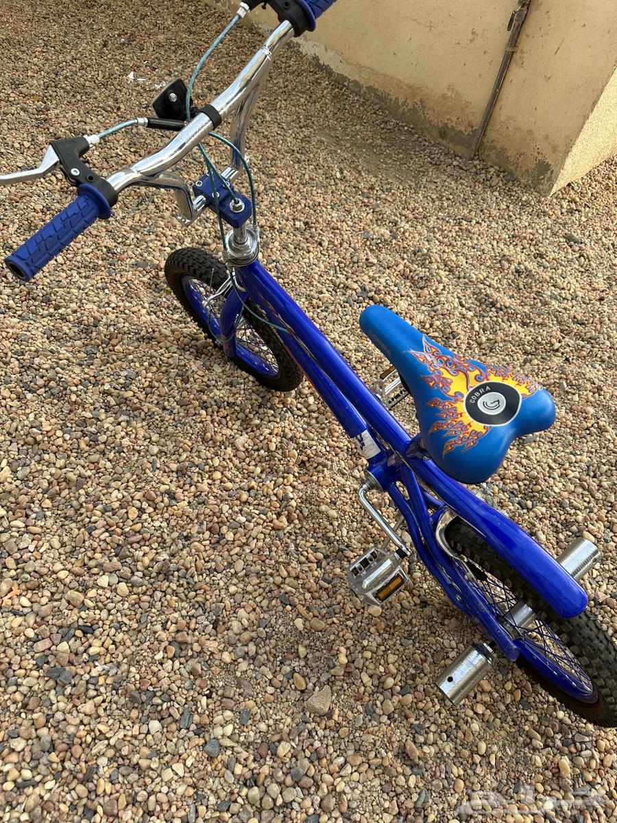 Cycle64393568761090110