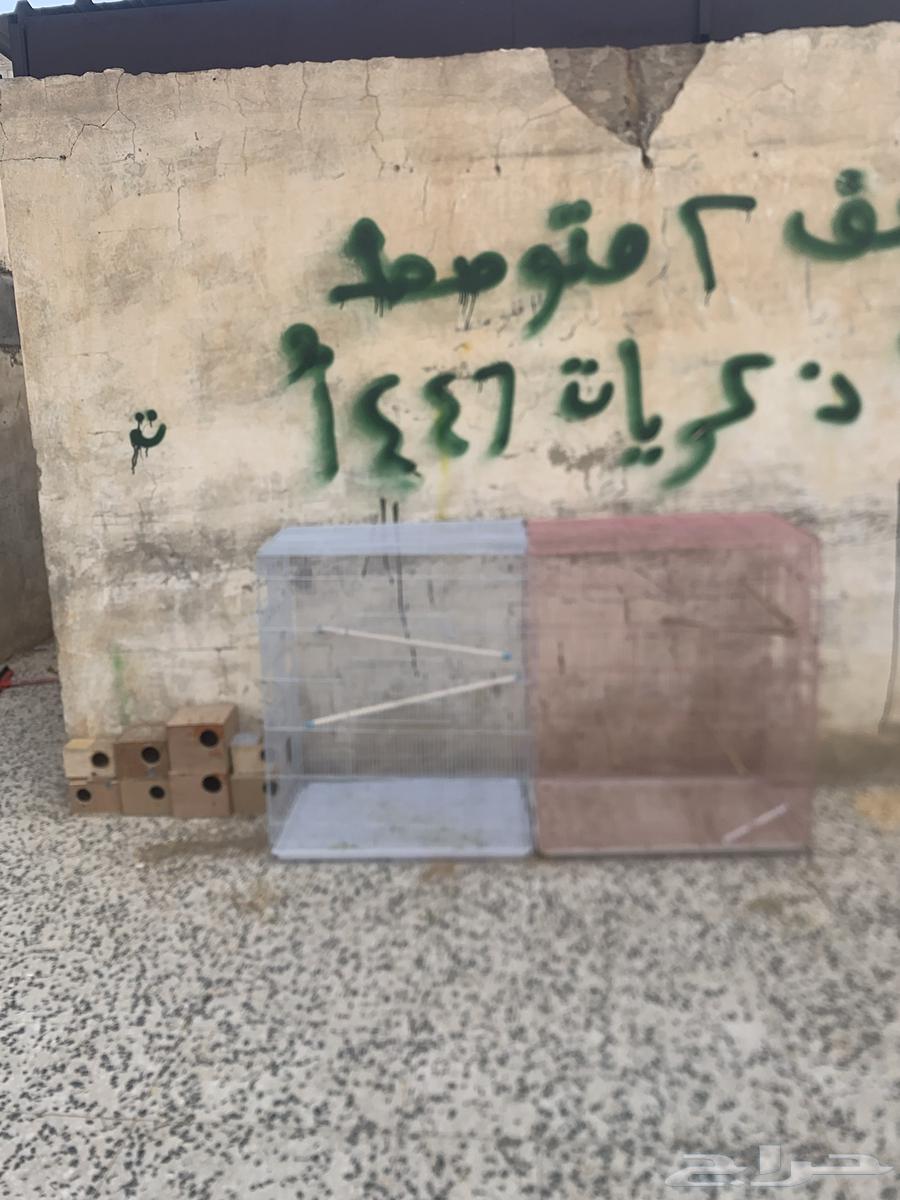 وين محبين المطير معرض لكم قفص مطير بسعر مناسب64388990753794111