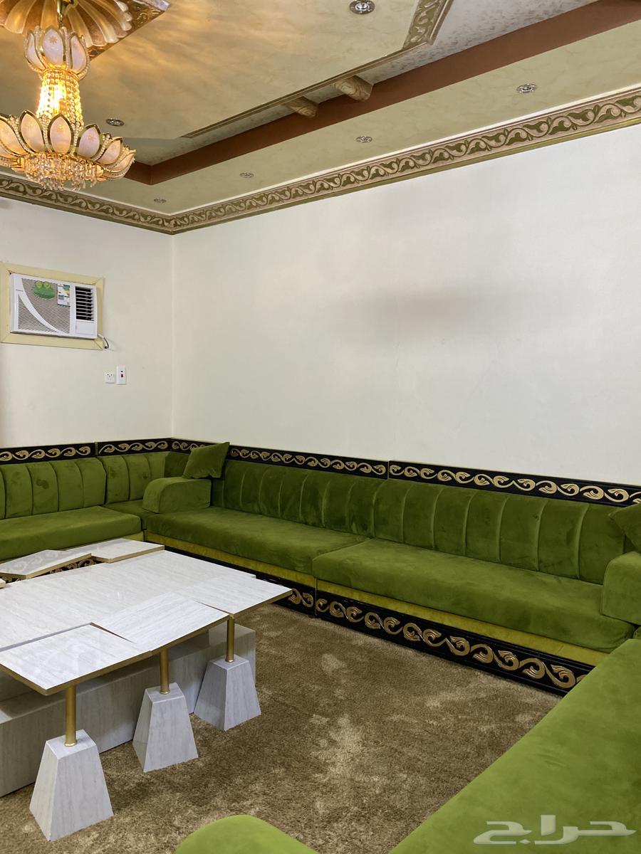 كنب اخضر نظيف جدا  للبيع64395728056833112