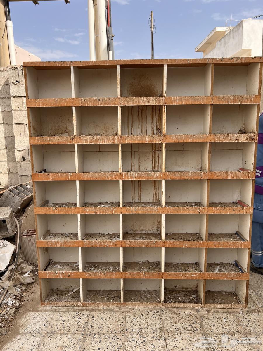 برج او ابراج حمام64395965102211112