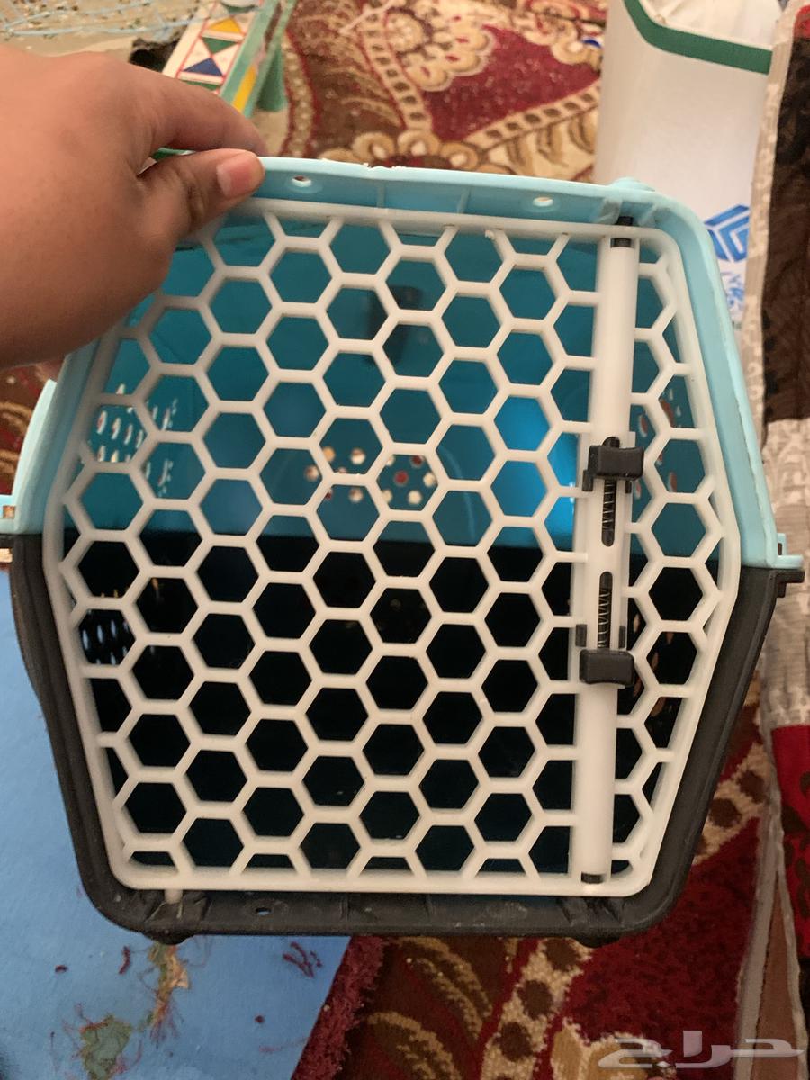 New cat litter, used only once, clean64398828029571111