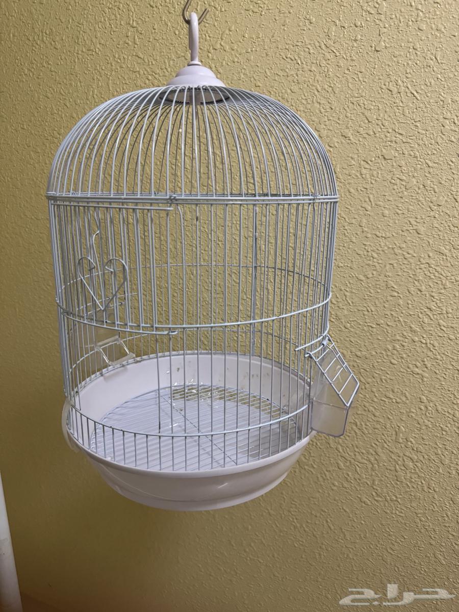 للبيع قفص مع ستاند ابيض64397687205250110