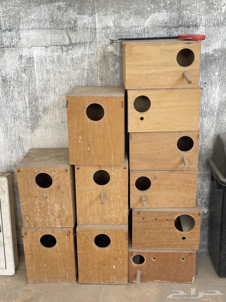 Cages and Nesting Boxes64395685666817111
