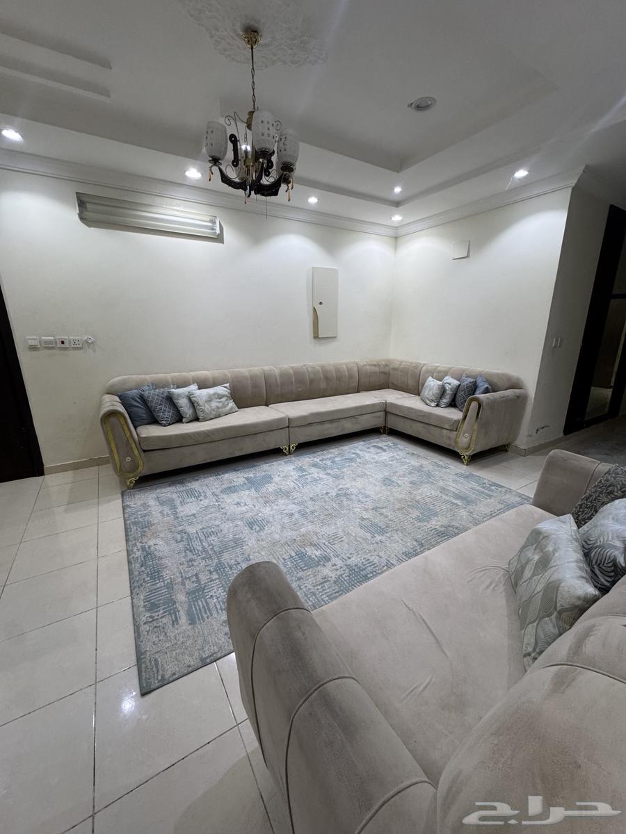 كنب نظيف مع السجاده للبيع اعلى سوم64392868349571110