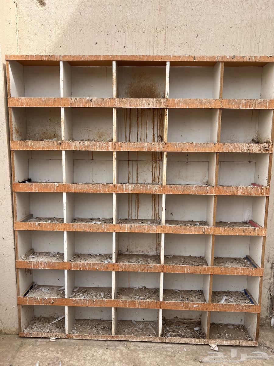 برج او ابراج حمام64395965102211111