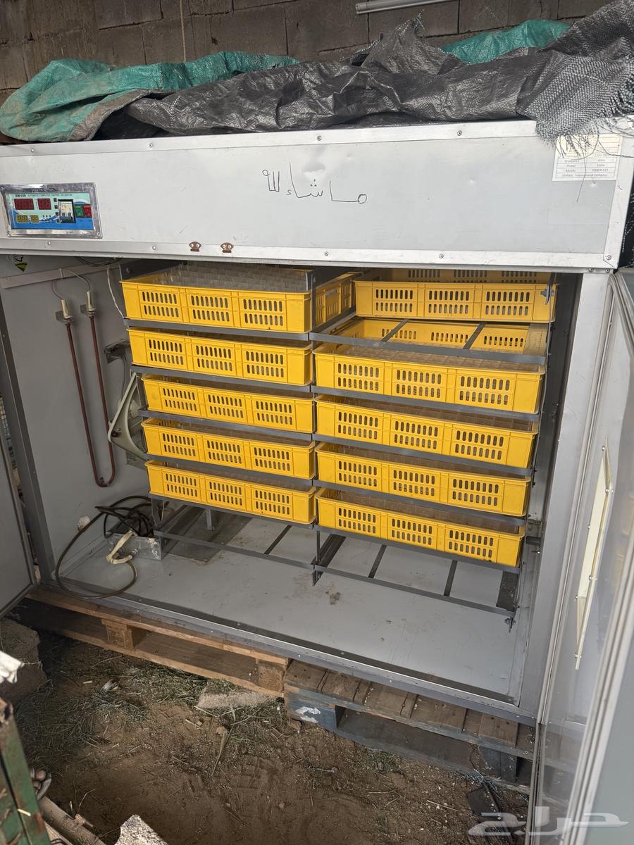 فقاسه بيض تماتيك للبيع جديد64397157921666110