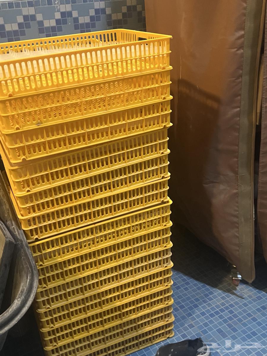 Incubator64398589339905112