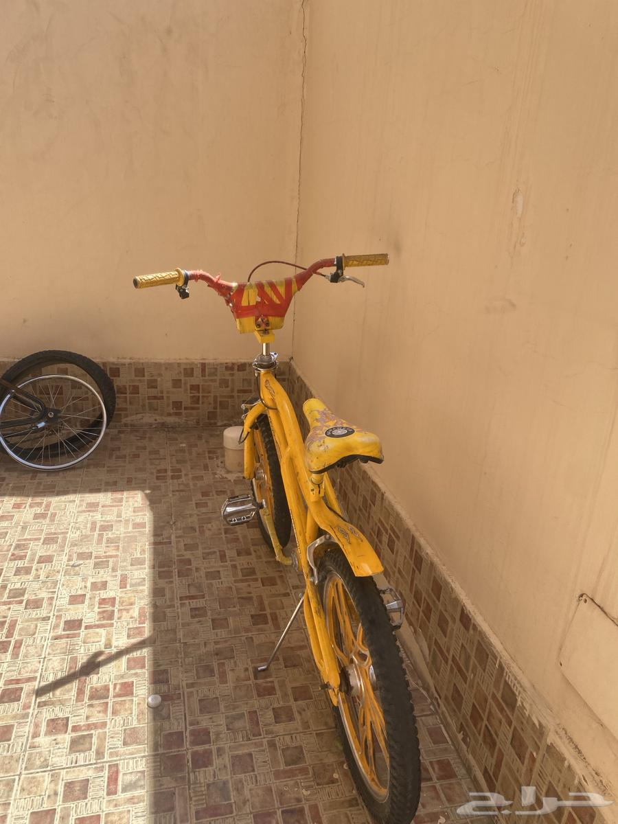 سيكل كوبرا64398061291905111