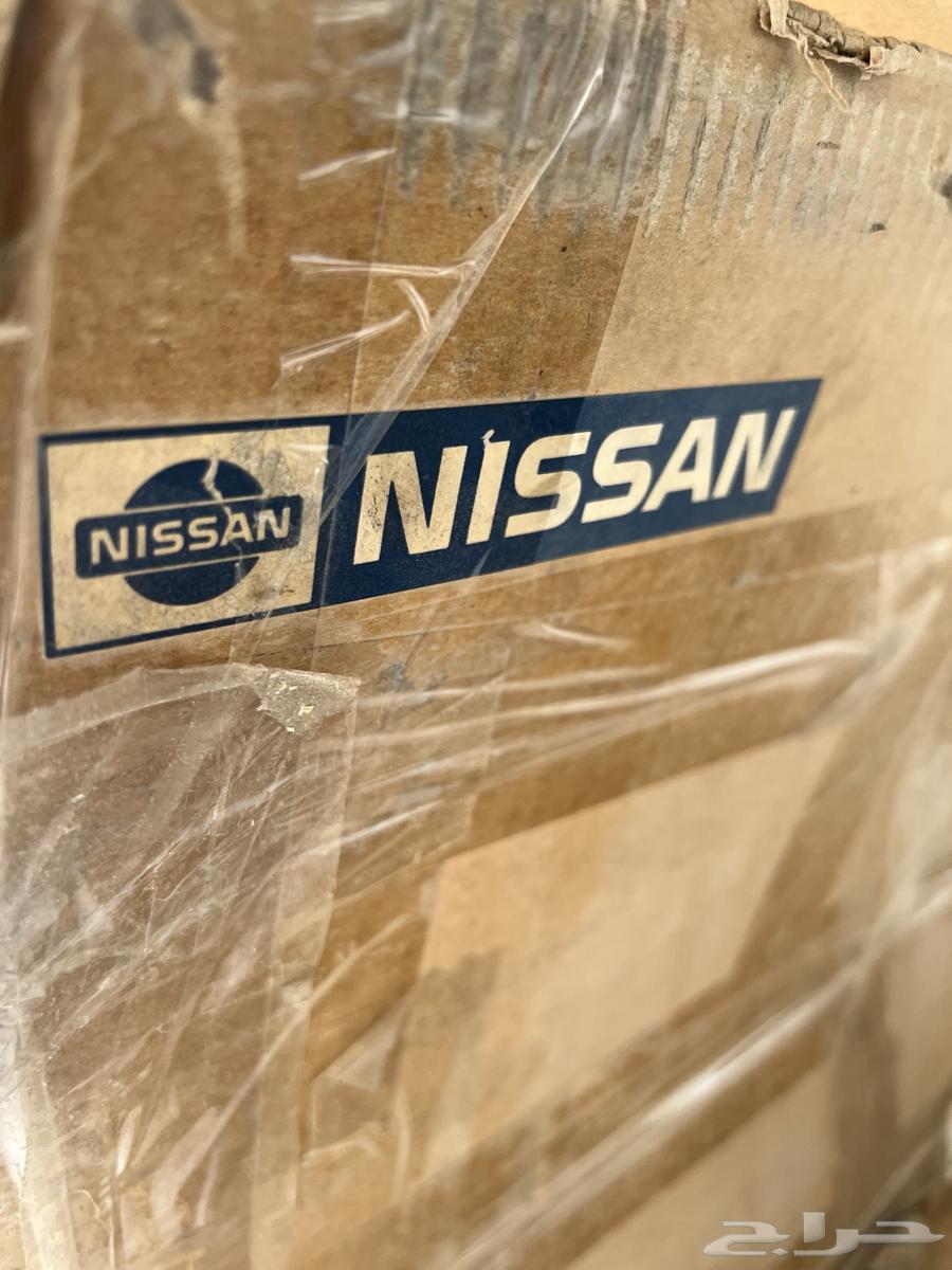 New Genuine Maxima Drum Shell from Agency (Rare Piece)64538690441473111