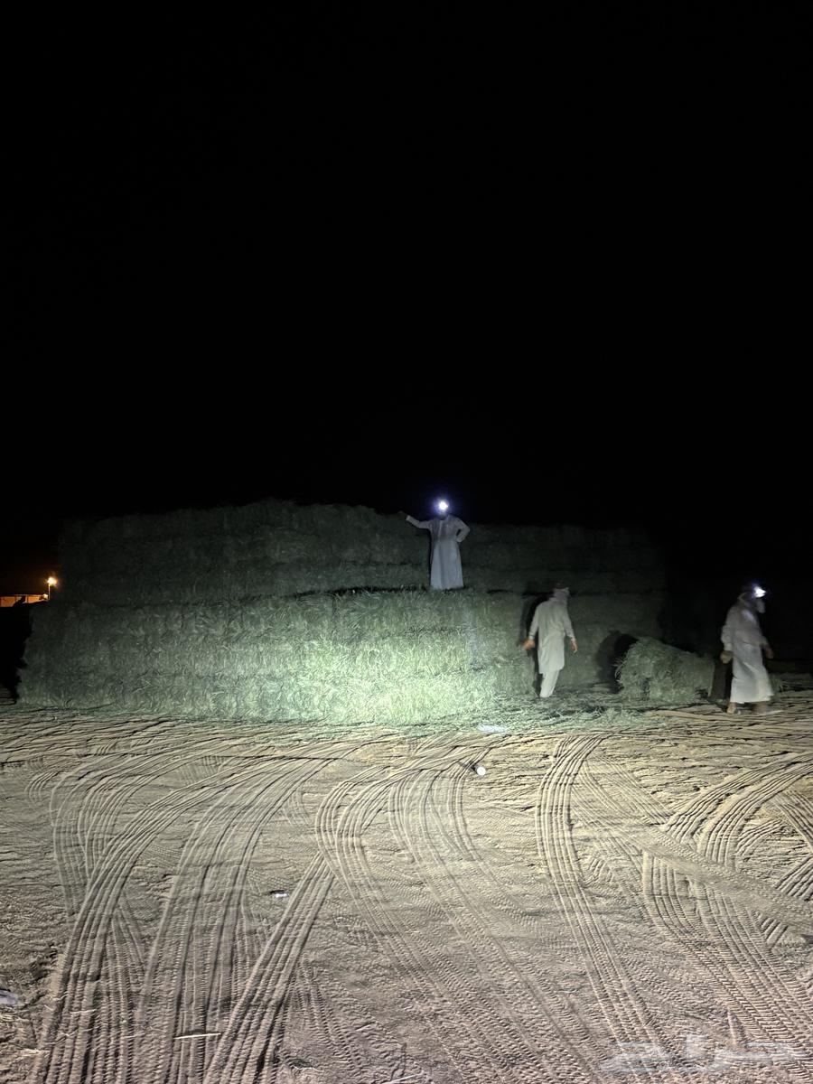 كوم رودس جديد وادي الدواسر64397728173570110