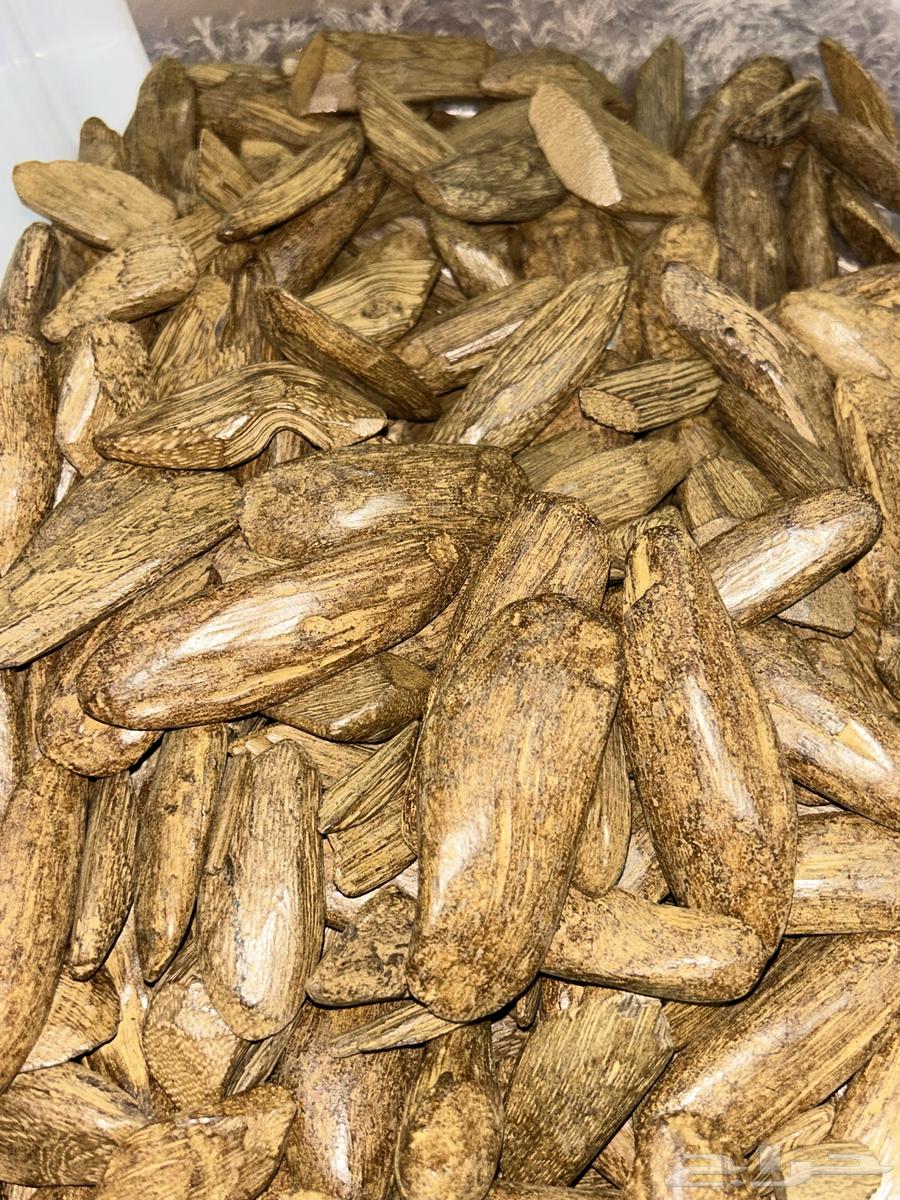 عود مروركي فاخر دبل سوبر64393224780289110