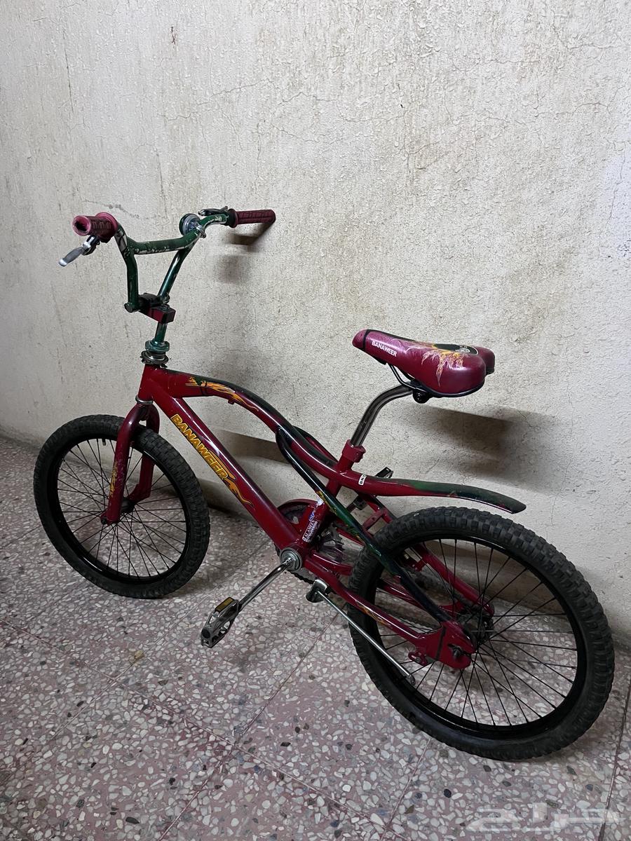 دراجه كوبرا مقاس2064399912354945111