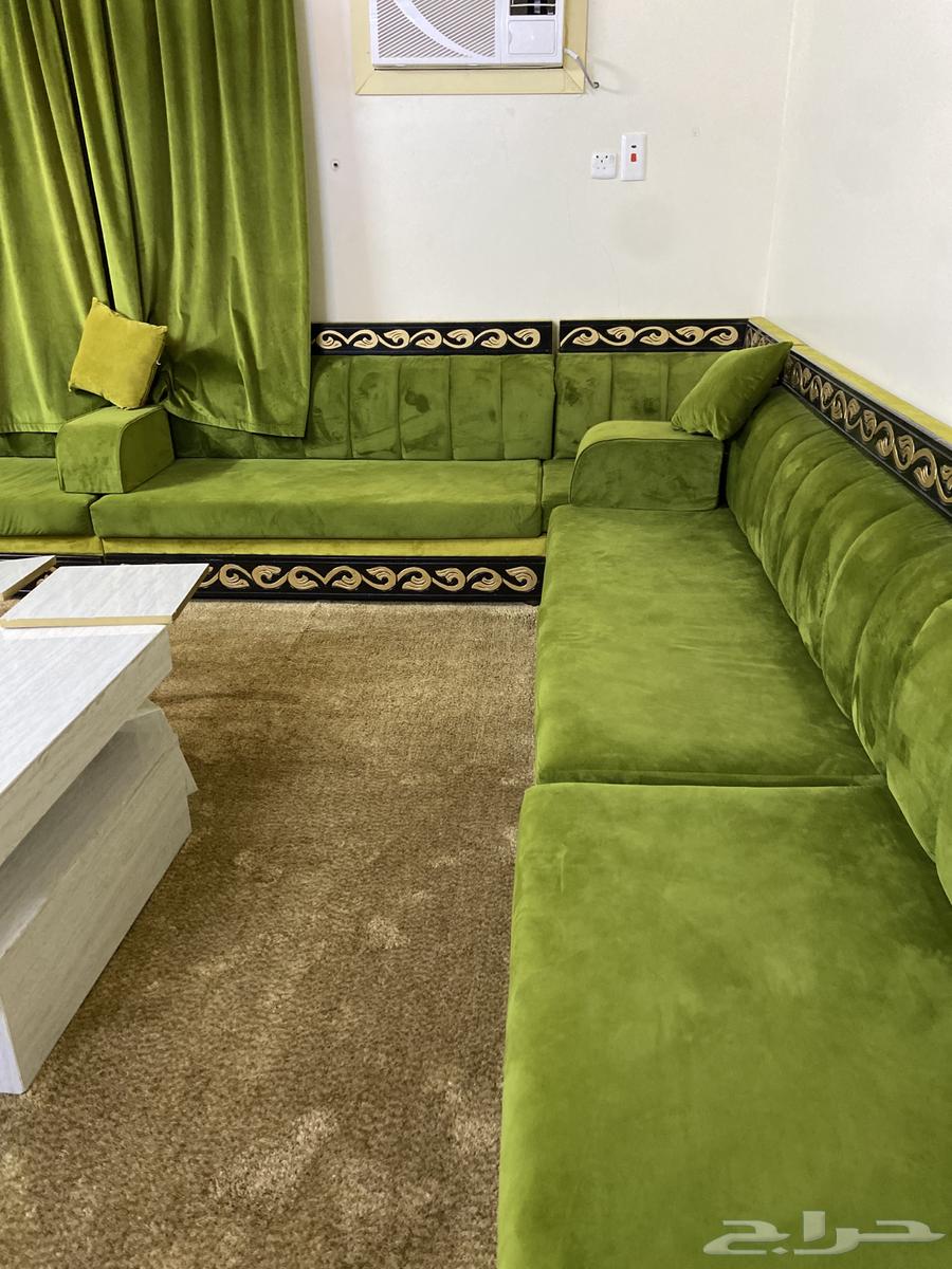 كنب اخضر نظيف جدا  للبيع64395728056833110