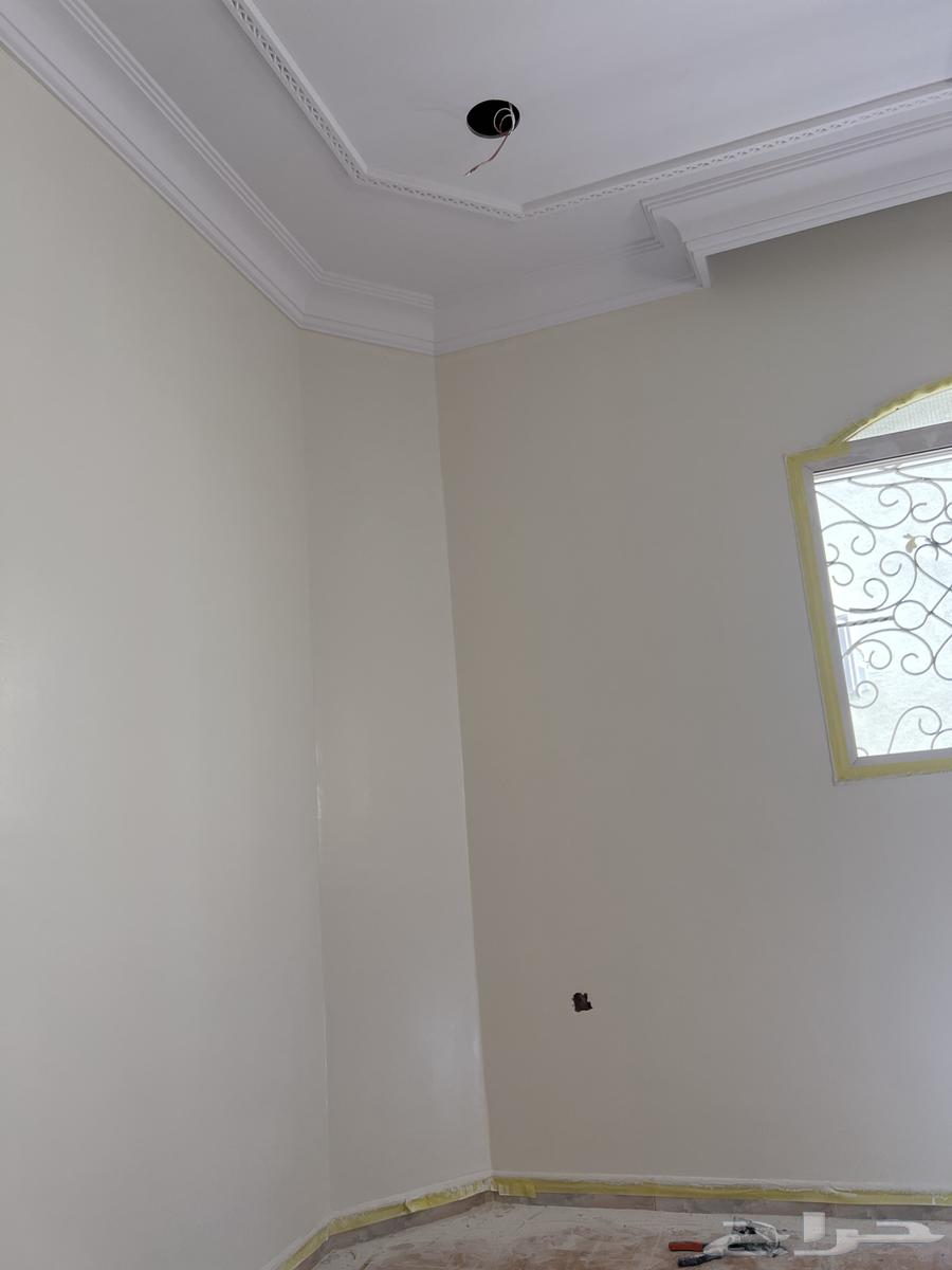 دهانات داخلي63618143414018113