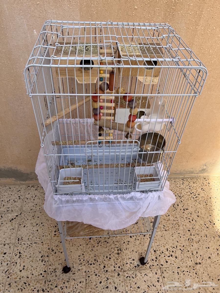 قفص كاسكو64396977286018112