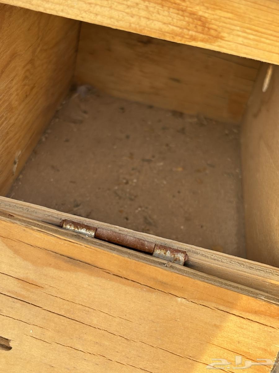 بياضات كروان وروز وبادجي64401035959427111