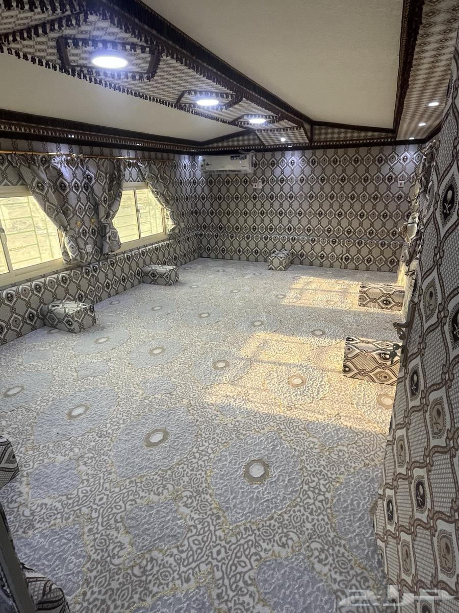 كرفانه شينكو كويتي64400632605185112