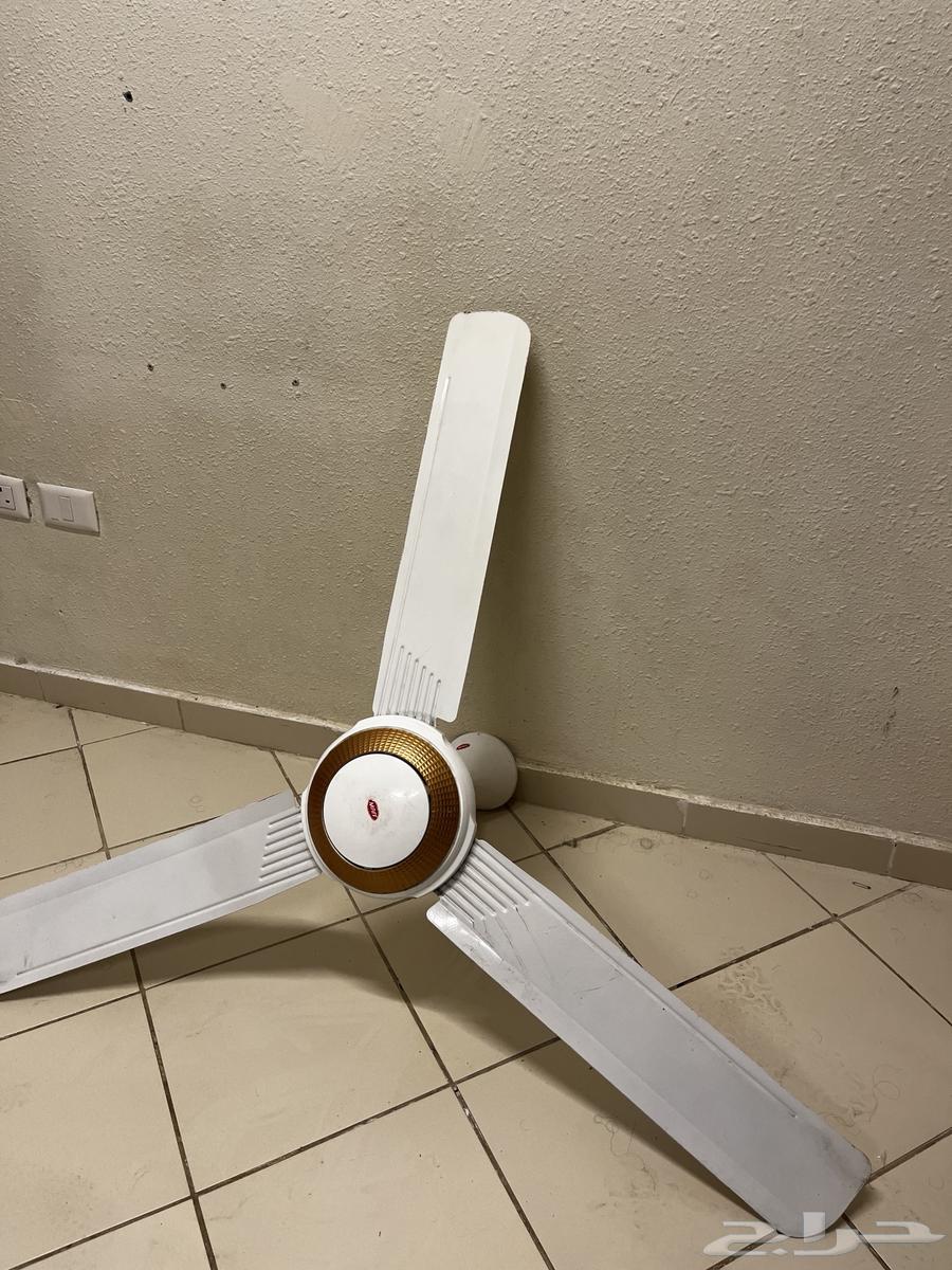 Ceiling Fans64399647928705112