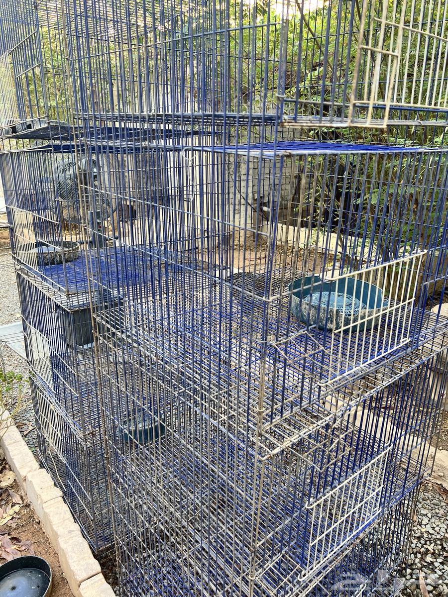 محاكر مصريه نظيفه64401077627266113