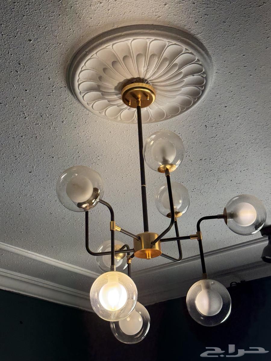 نجفه سوداء من أبيات ( نظيفه )64395601063171110