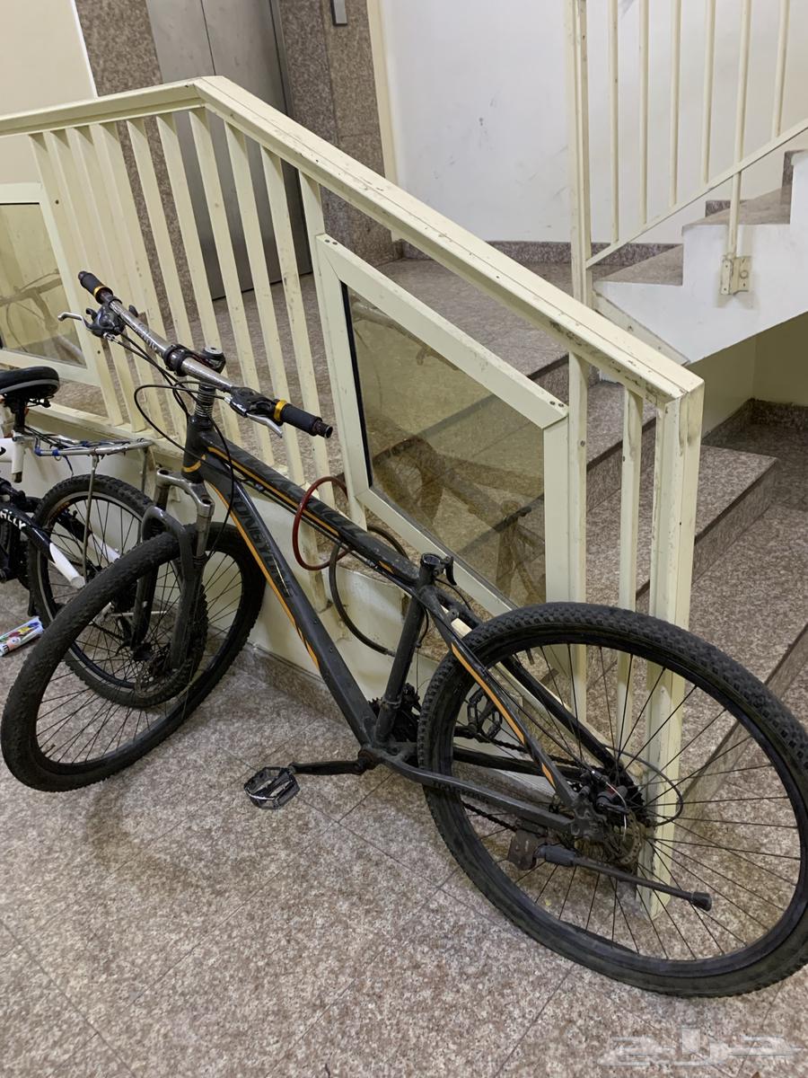 سيكل للبيع بس يبغاله كرسي64393970724867110