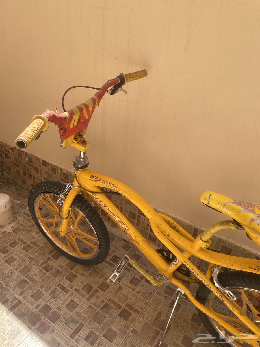 سيكل كوبرا64398061291905110