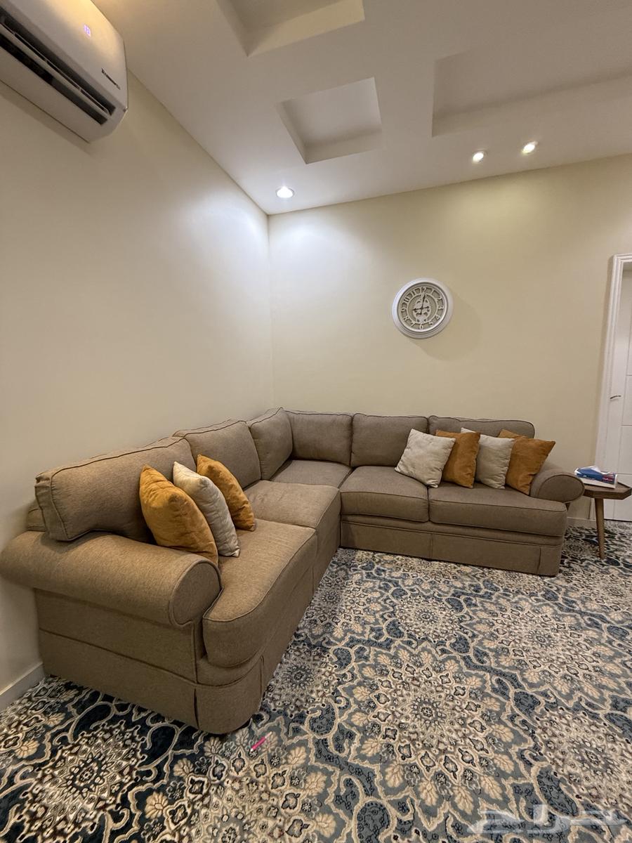 كنب أمريكي64376614869250111