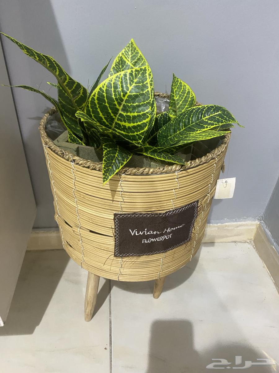 Clean parking64399995587331111