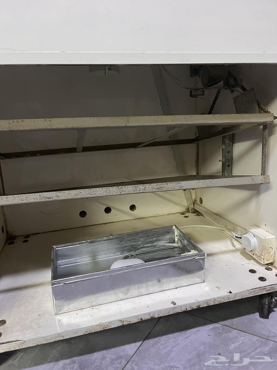 Automatic incubator64399410993793112