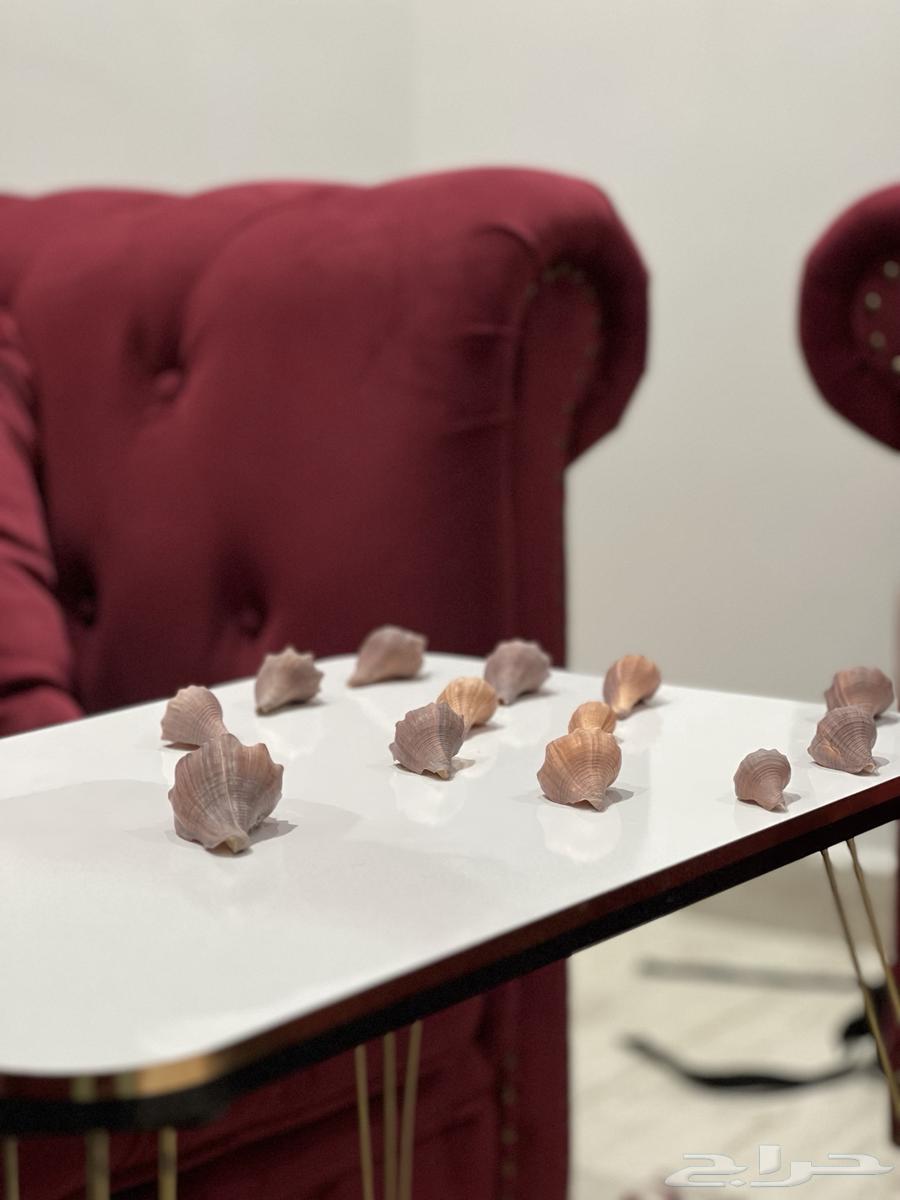 Scooter and turtle for sale64395323994113112