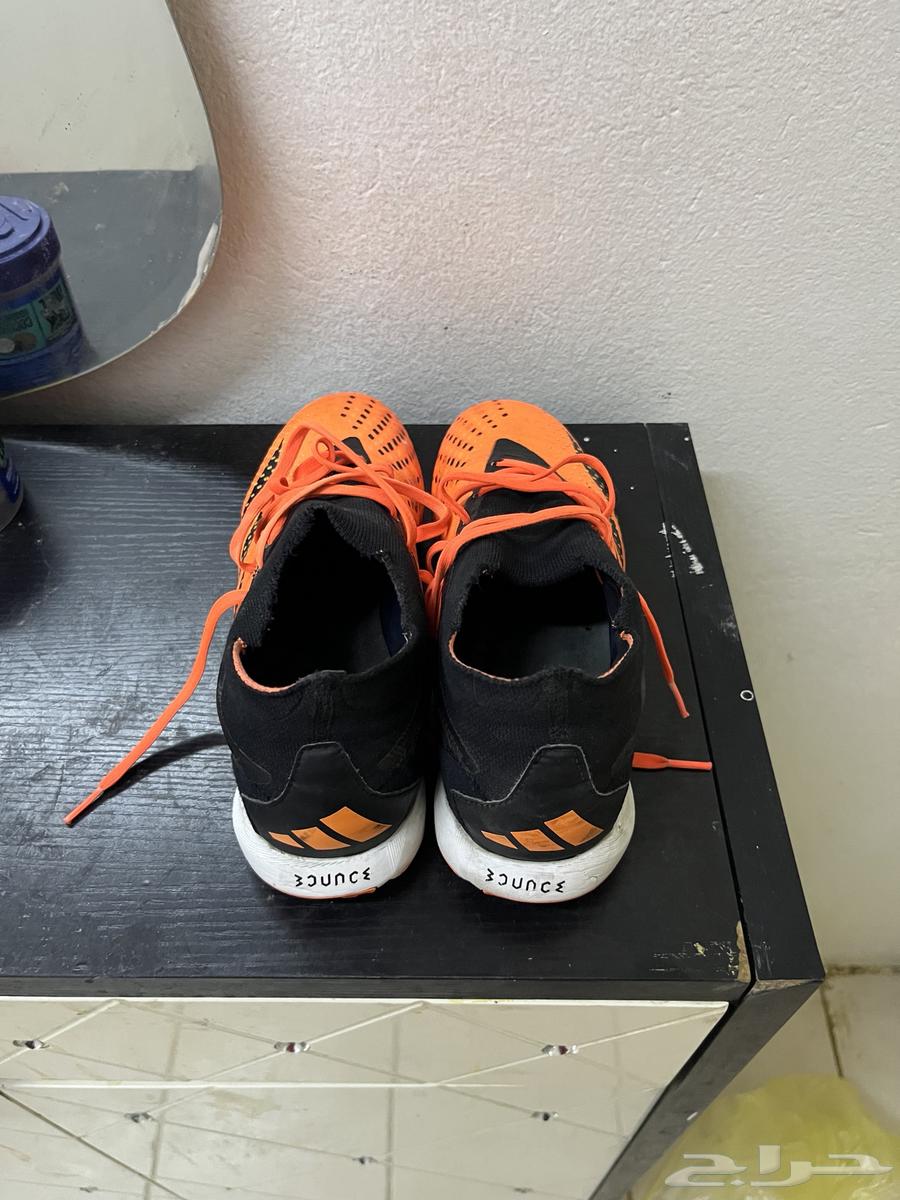 Kora Bot64396769463553112