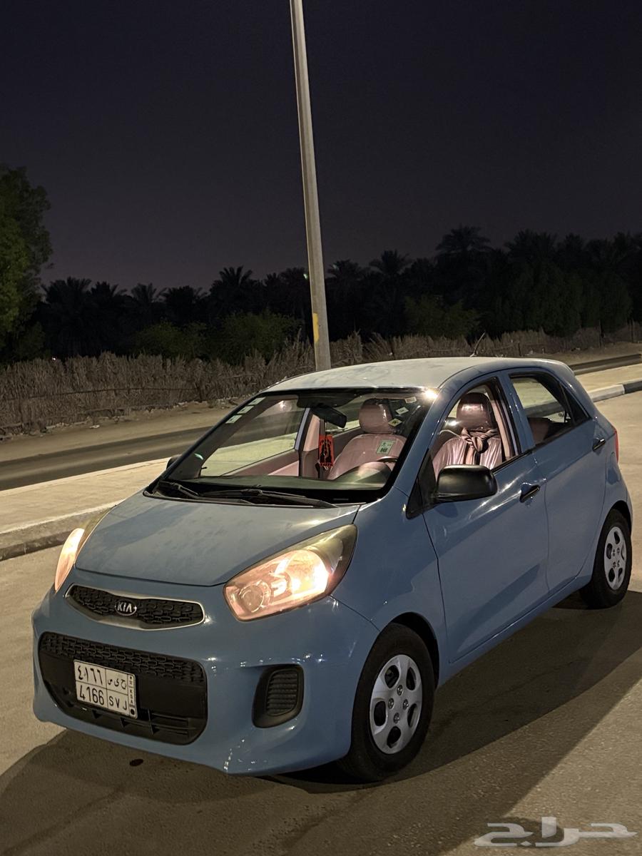 بيكانتو 2016 للبيع ممشى 156 قابل ل الزياده ع السوم64538429682306111