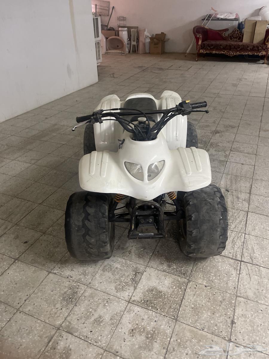 دباب للبيع64398827974529111