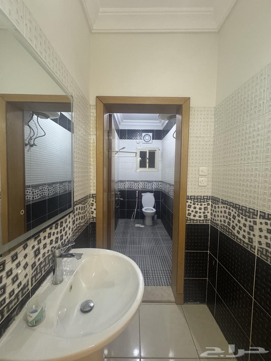 شقة للايجار63614095694979111