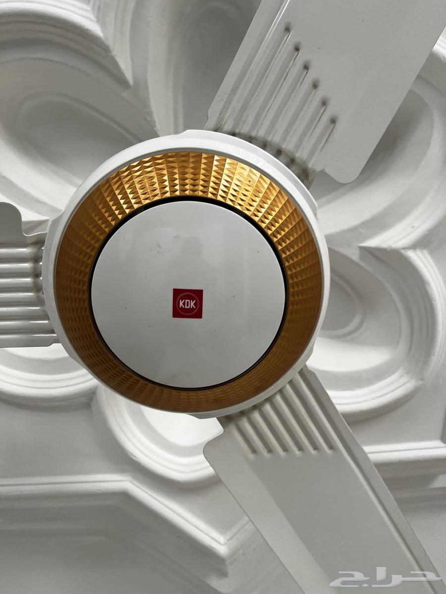 Ceiling Fans64399647928705110