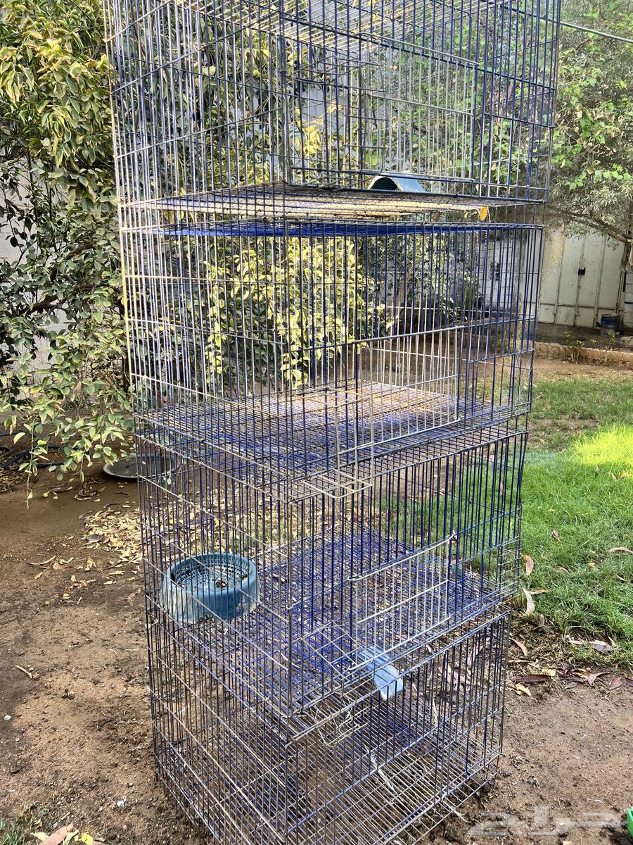 محاكر مصريه نظيفه64401077627266111