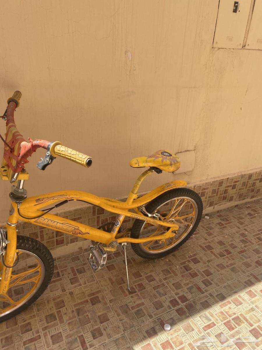 سيكل كوبرا64398061291905113