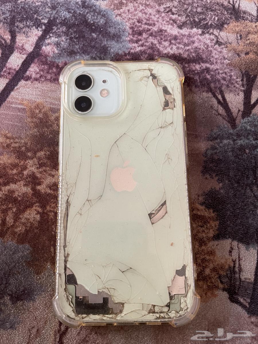 iPhone 12 regular64399452562049111