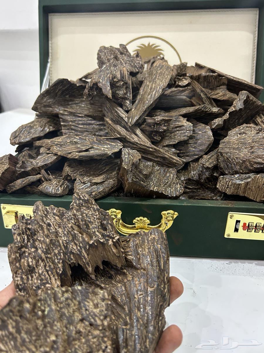 العود الأزرق الفاخر كيلو ب110064393252625922110