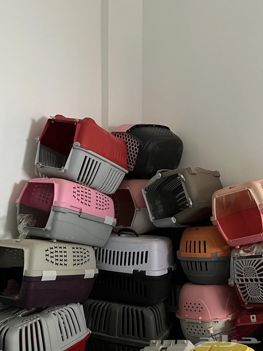 أقفاص قطط للبيع64400869344259110