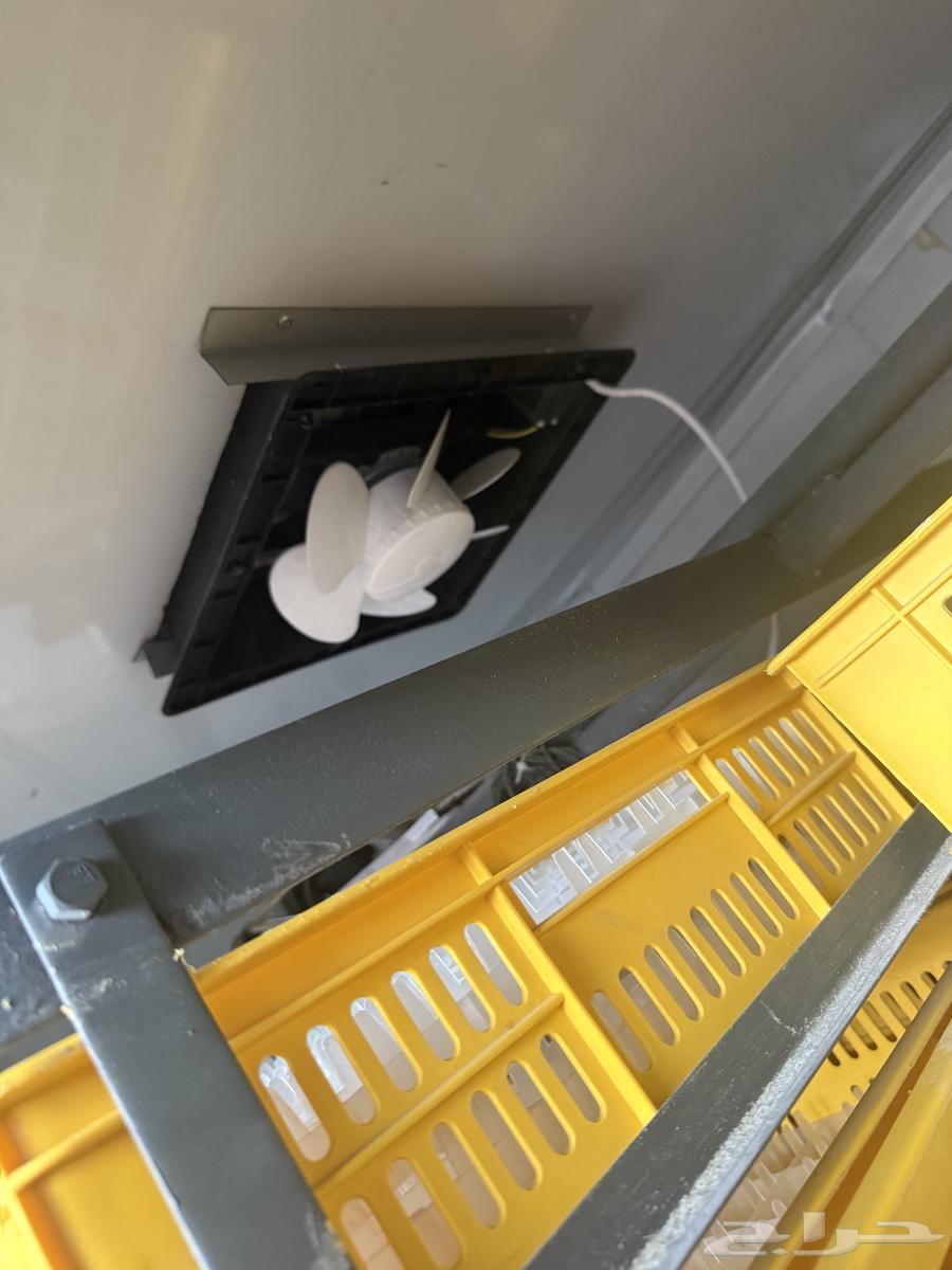 فقاسه بيض تماتيك للبيع جديد64397157921666114