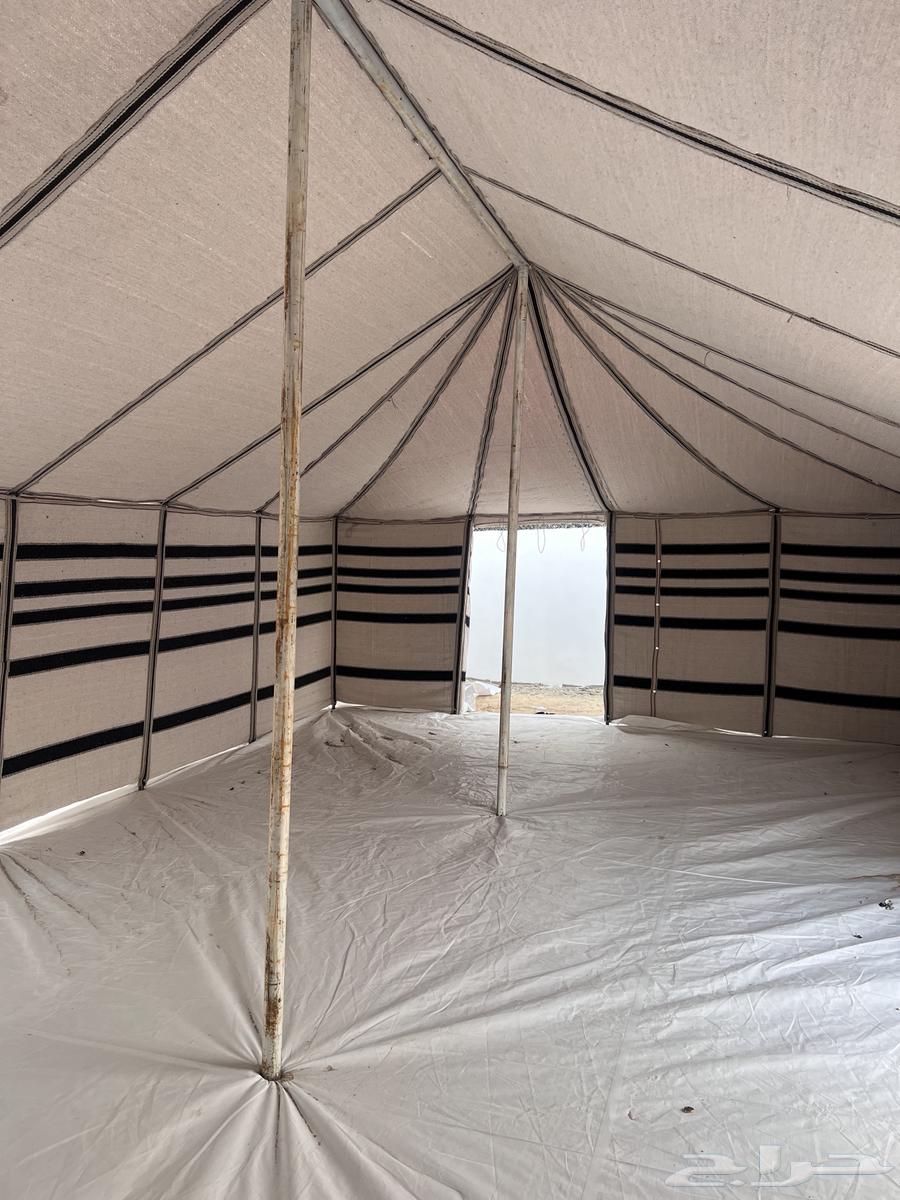 بيت شعر جديد64393073115139113