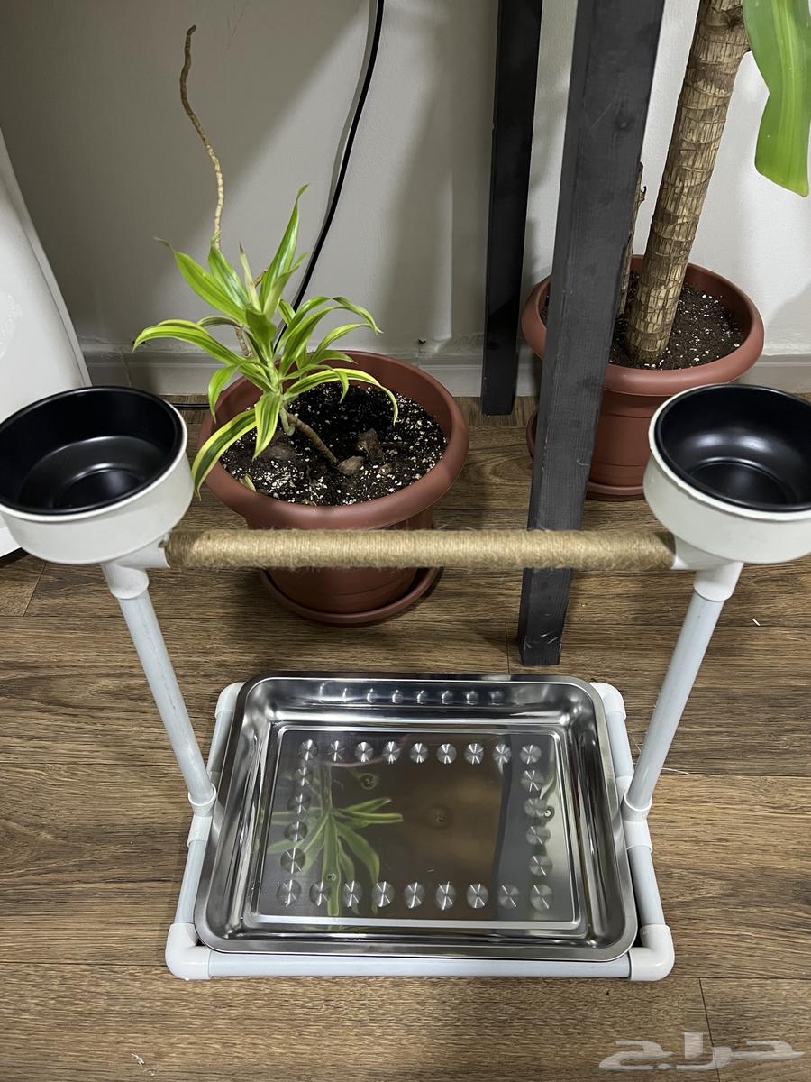 استاند جميع الطيور64392676460290112