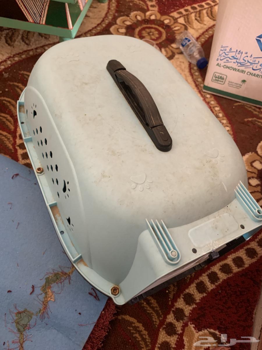 New cat litter, used only once, clean64398828029571110