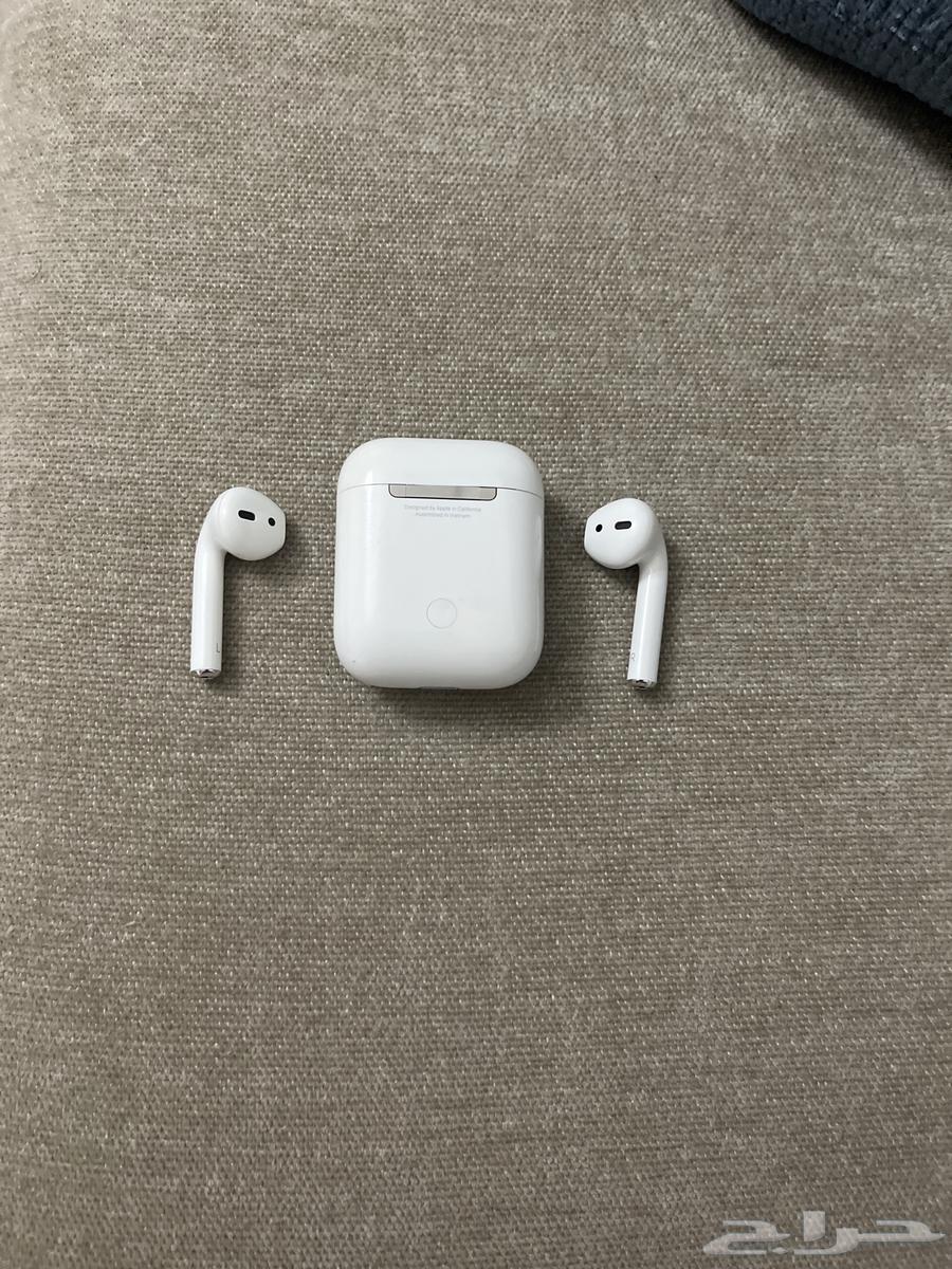 الطايف64397437082369112