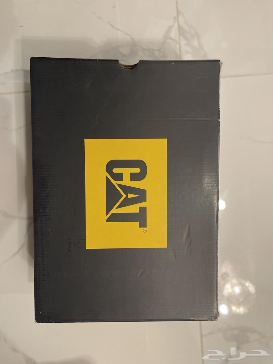 سفتي شوز جديد كات CAT64394108431489112