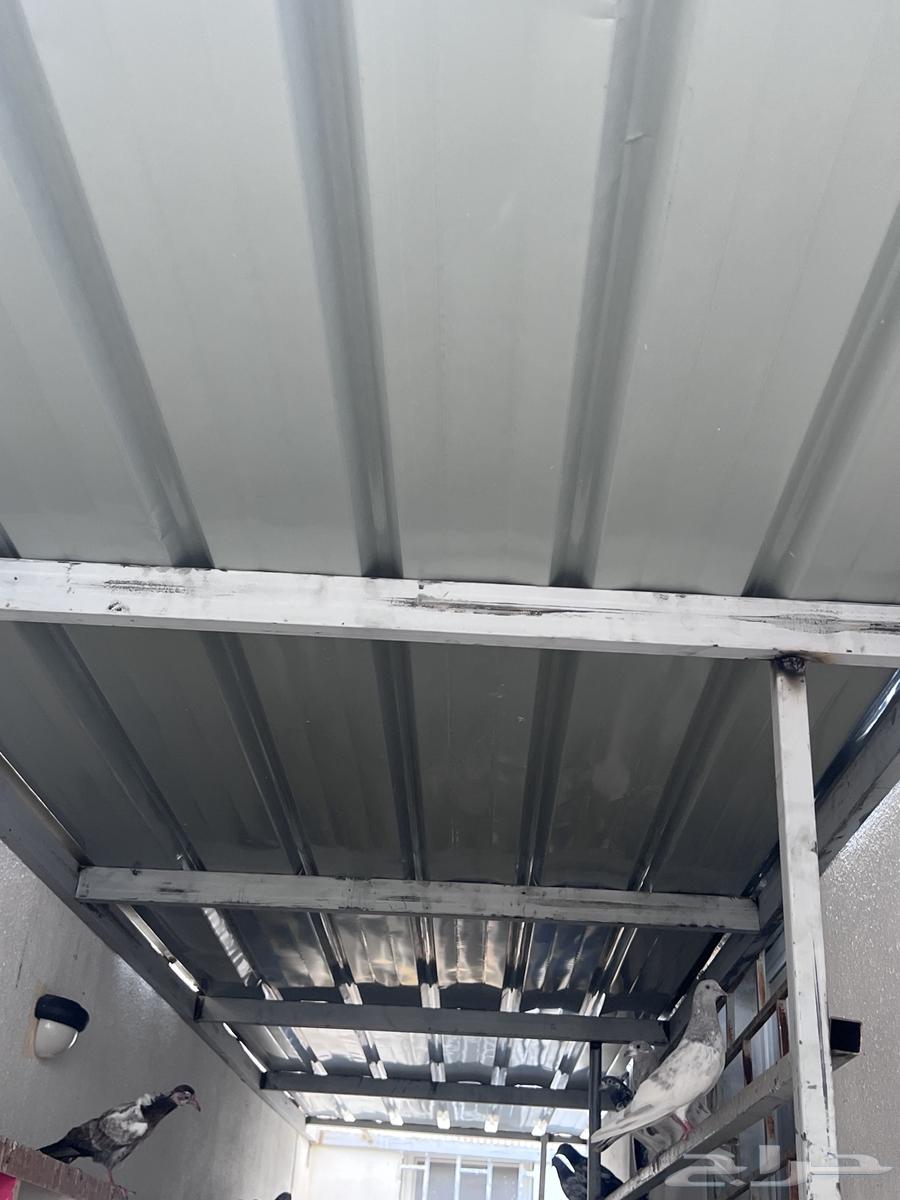 شبك حديد نظيف جدا64397811116291113