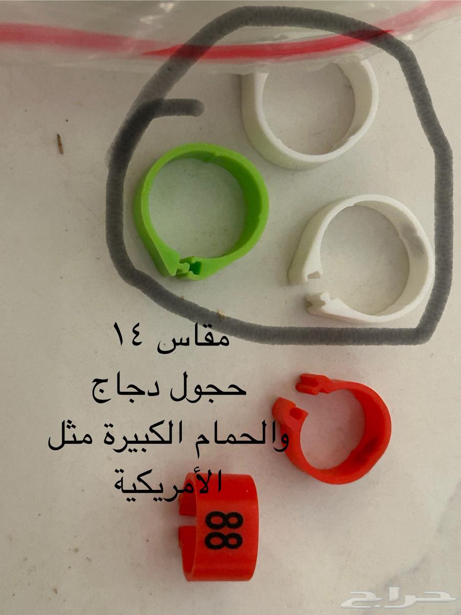 حجول كبس بلاستيك مرقم من 1 الى 10064396519881986114