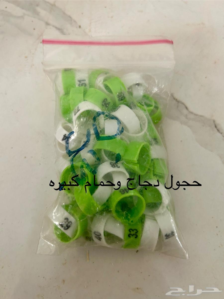 حجول كبس بلاستيك مرقم من 1 الى 10064396519881986112